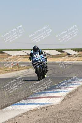 media/Aug-04-2024-TrackDaz (Sun) [[e1ff0814b6]]/Group B/1220pm (Wheelie Bump)/